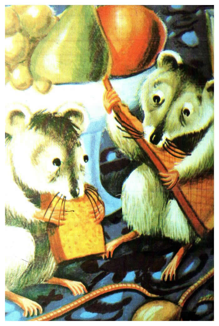 Humor Animals