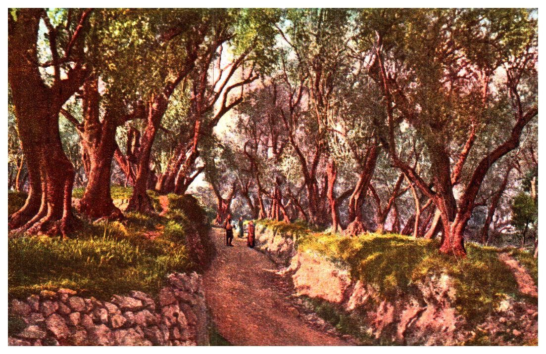 Cartes postales anciennes > CARTES POSTALES > carte postale ancienne > cartes-postales-ancienne.com Paysage
