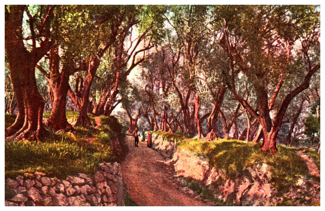 Cartes postales anciennes > CARTES POSTALES > carte postale ancienne > cartes-postales-ancienne.com Paysage Campagne