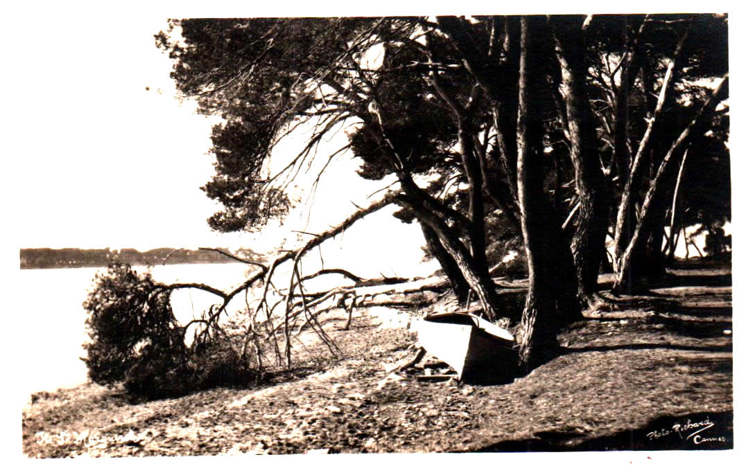 Cartes postales anciennes > CARTES POSTALES > carte postale ancienne > cartes-postales-ancienne.com Paysage Campagne