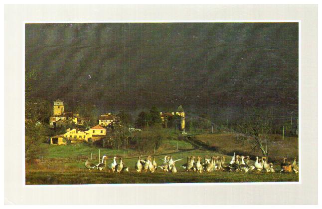 Cartes postales anciennes > CARTES POSTALES > carte postale ancienne > cartes-postales-ancienne.com Animaux