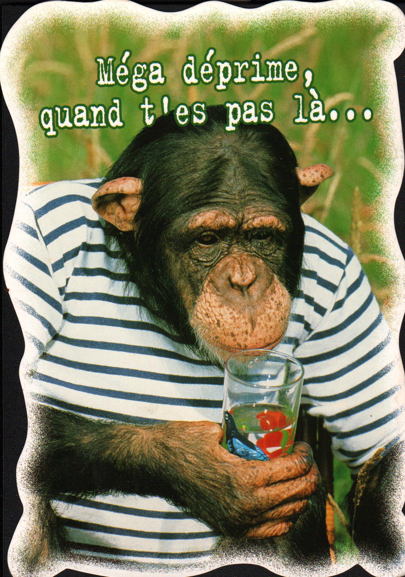 Cartes postales anciennes > CARTES POSTALES > carte postale ancienne > cartes-postales-ancienne.com Animaux