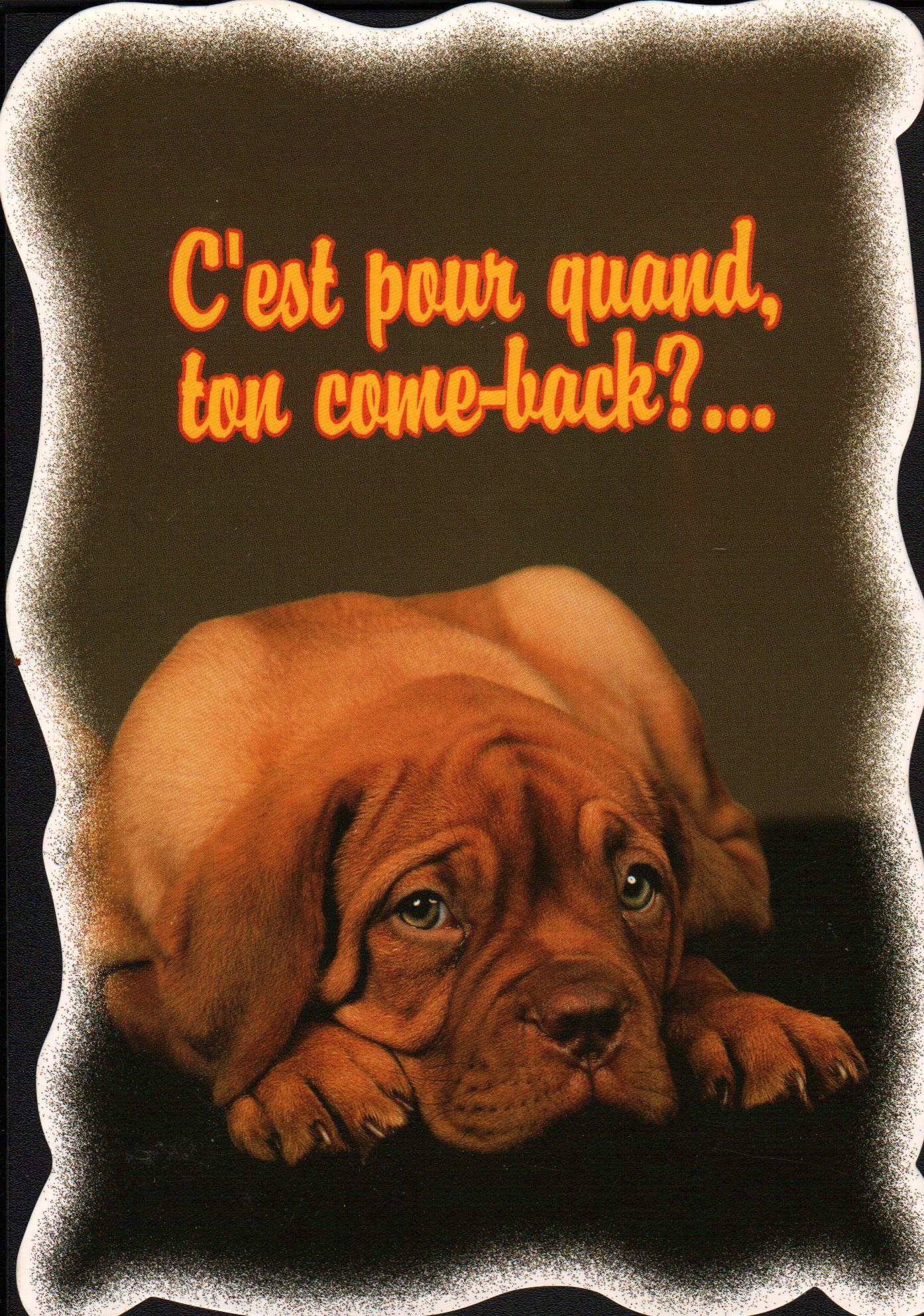 Cartes postales anciennes > CARTES POSTALES > carte postale ancienne > cartes-postales-ancienne.com Animaux Chiens