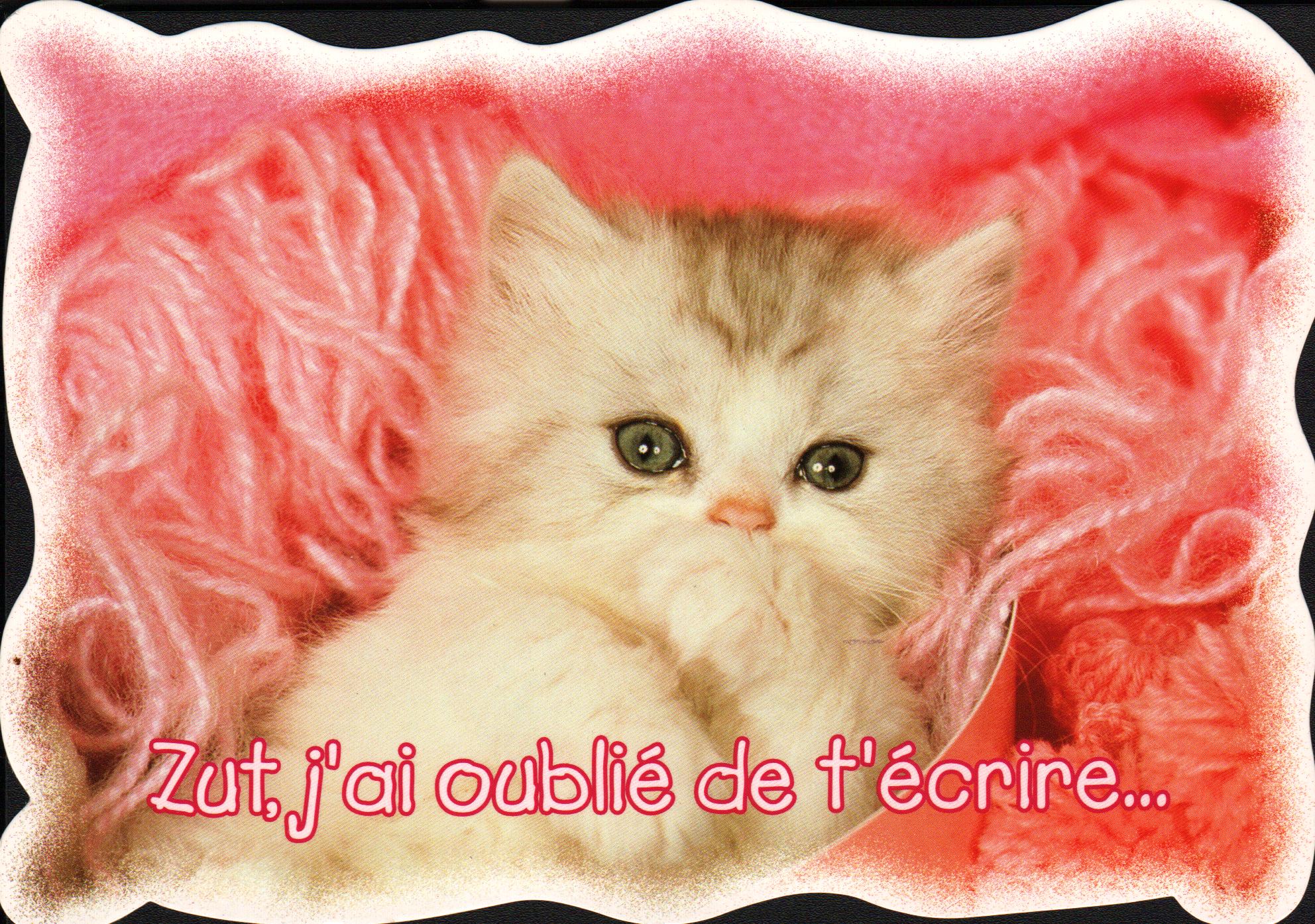 Cartes postales anciennes > CARTES POSTALES > carte postale ancienne > cartes-postales-ancienne.com Animaux