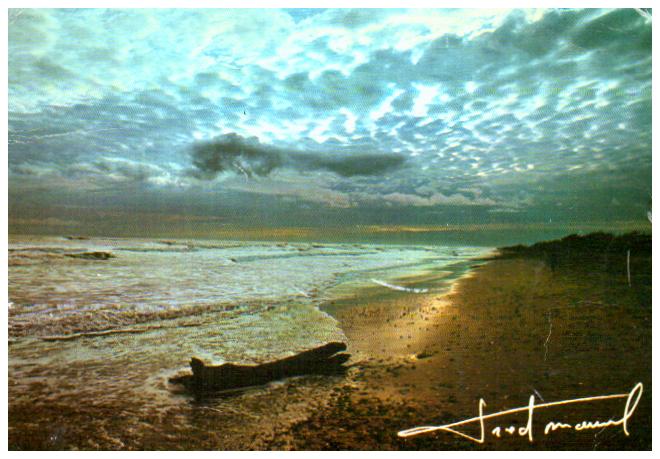 Landscape Landscape sea view