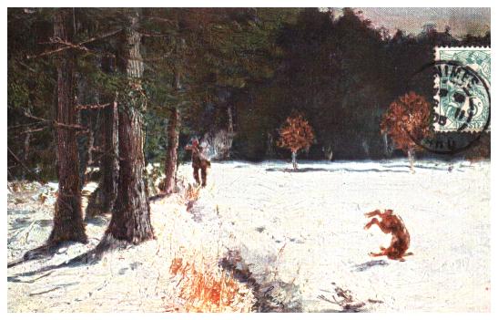 Various Hunting
