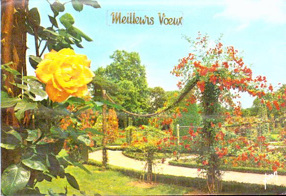 Cartes postales anciennes > CARTES POSTALES > carte postale ancienne > cartes-postales-ancienne.com Nouvelle annee
