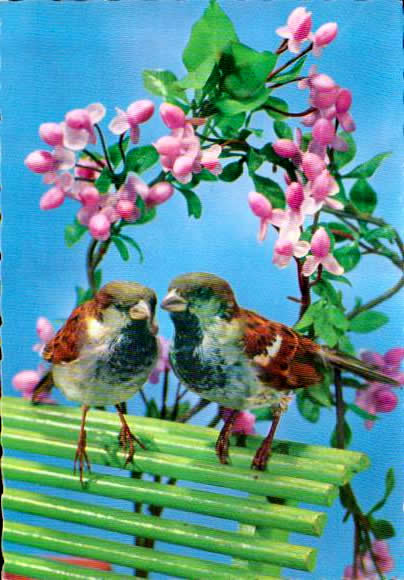 Cartes postales anciennes > CARTES POSTALES > carte postale ancienne > cartes-postales-ancienne.com Animaux