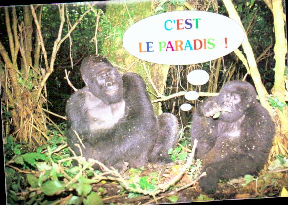 Cartes postales anciennes > CARTES POSTALES > carte postale ancienne > cartes-postales-ancienne.com Animaux