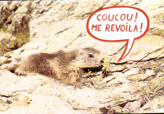 Cartes postales anciennes > CARTES POSTALES > carte postale ancienne > cartes-postales-ancienne.com Animaux