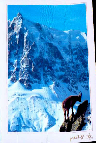 Cartes postales anciennes > CARTES POSTALES > carte postale ancienne > cartes-postales-ancienne.com Humour