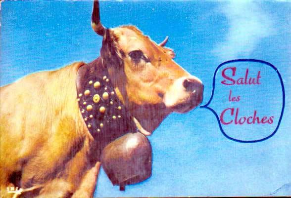 Cartes postales anciennes > CARTES POSTALES > carte postale ancienne > cartes-postales-ancienne.com Animaux Buffles vaches taureaux