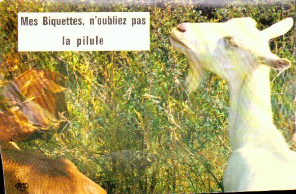 Cartes postales anciennes > CARTES POSTALES > carte postale ancienne > cartes-postales-ancienne.com Animaux Chevaux anes chevres