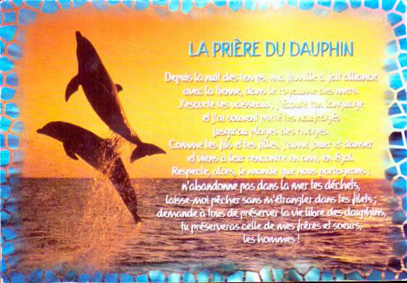 Cartes postales anciennes > CARTES POSTALES > carte postale ancienne > cartes-postales-ancienne.com Animaux