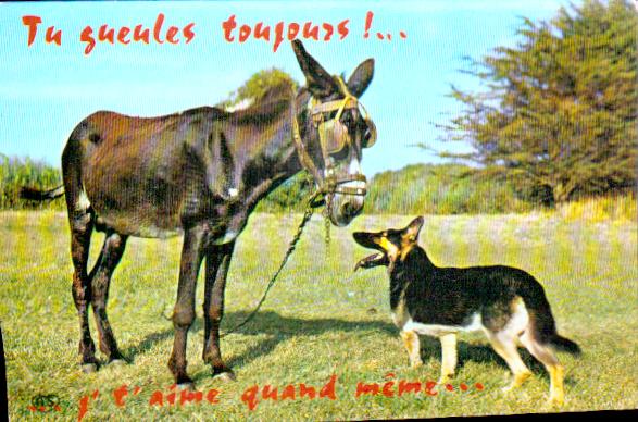 Cartes postales anciennes > CARTES POSTALES > carte postale ancienne > cartes-postales-ancienne.com Animaux Chevaux anes chevres