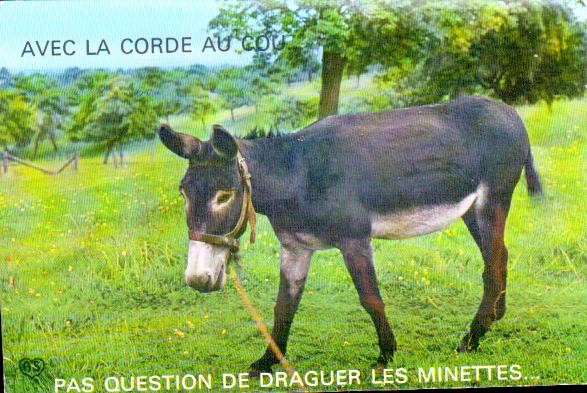 Cartes postales anciennes > CARTES POSTALES > carte postale ancienne > cartes-postales-ancienne.com Animaux