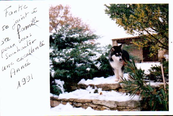 Cartes postales anciennes > CARTES POSTALES > carte postale ancienne > cartes-postales-ancienne.com Animaux