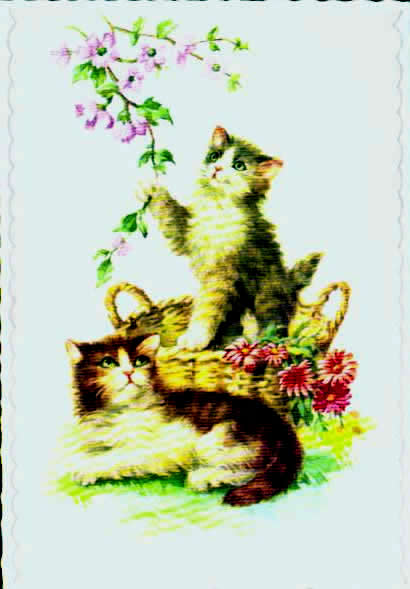 Cartes postales anciennes > CARTES POSTALES > carte postale ancienne > cartes-postales-ancienne.com Animaux Chats