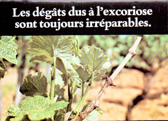 Cartes postales anciennes > CARTES POSTALES > carte postale ancienne > cartes-postales-ancienne.com Paysage