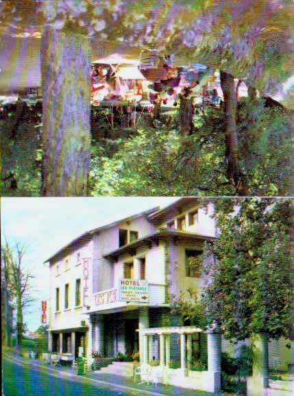 Restaurants