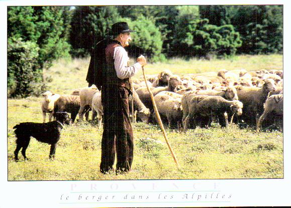 Profession Berger