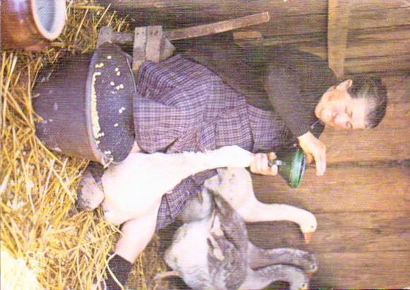 Profession Farmer