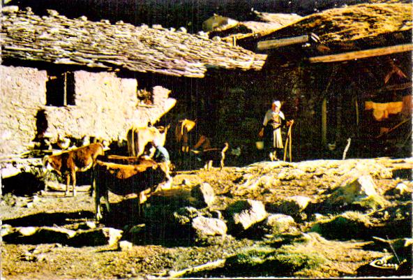 Profession Farmer