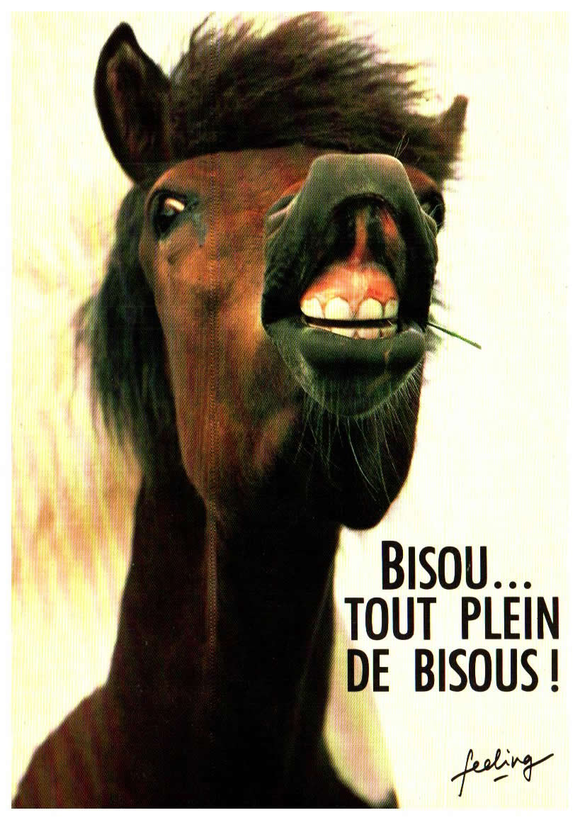 Cartes postales anciennes > CARTES POSTALES > carte postale ancienne > cartes-postales-ancienne.com Animaux Chevaux anes chevres