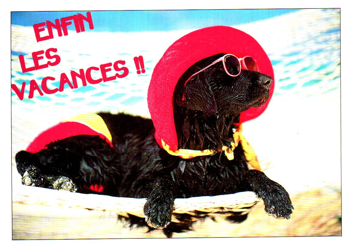 Cartes postales anciennes > CARTES POSTALES > carte postale ancienne > cartes-postales-ancienne.com Animaux Chiens