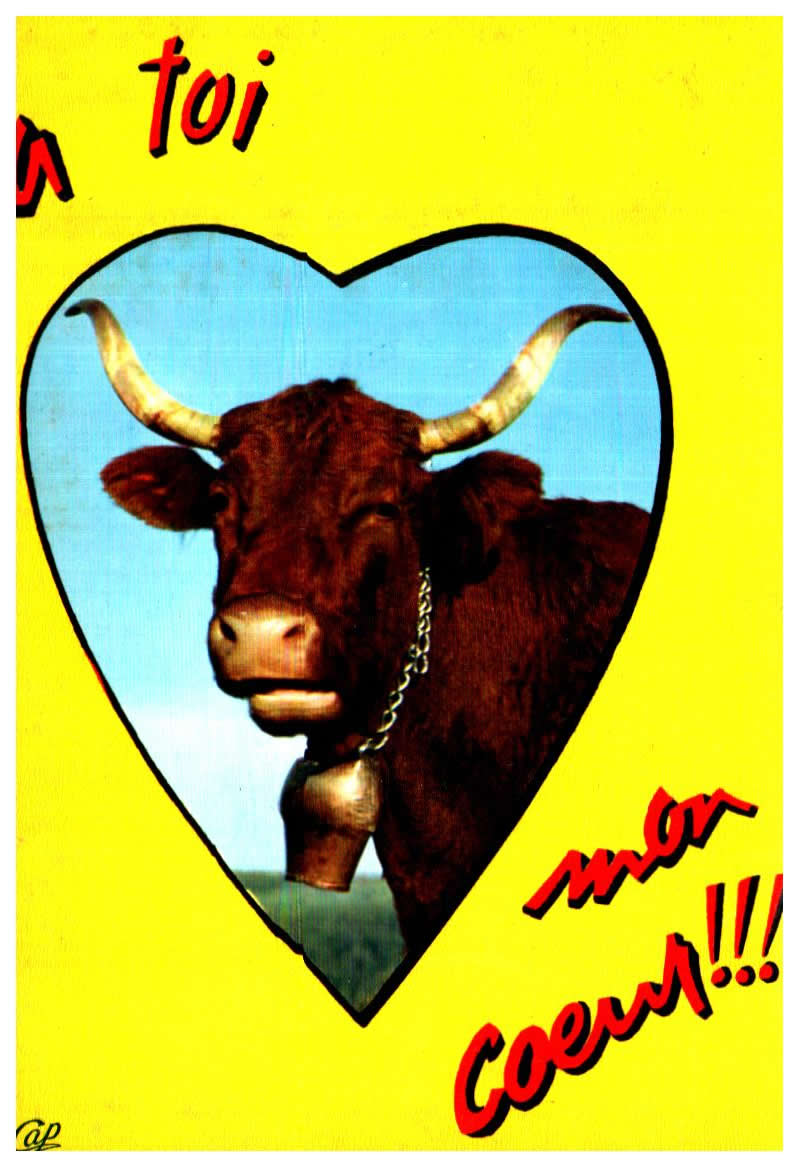 Cartes postales anciennes > CARTES POSTALES > carte postale ancienne > cartes-postales-ancienne.com Animaux Buffles vaches taureaux