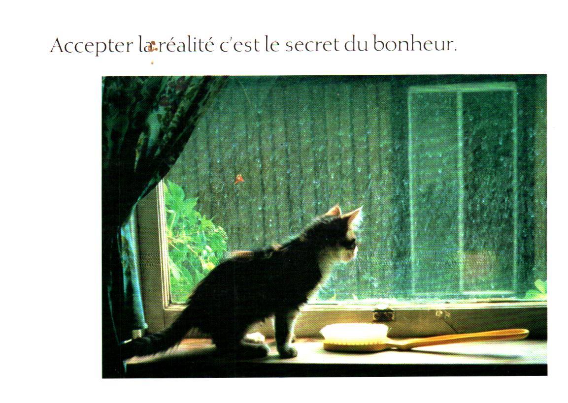 Cartes postales anciennes > CARTES POSTALES > carte postale ancienne > cartes-postales-ancienne.com Animaux Chats