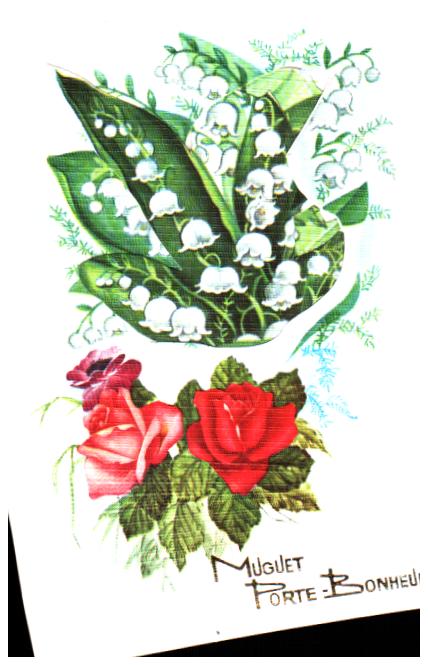 Cartes postales anciennes > CARTES POSTALES > carte postale ancienne > cartes-postales-ancienne.com Fleurs