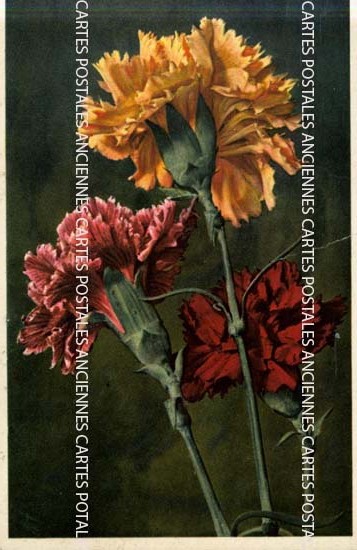 Cartes postales anciennes > CARTES POSTALES > carte postale ancienne > cartes-postales-ancienne.com Fleurs