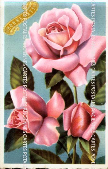 Cartes postales anciennes > CARTES POSTALES > carte postale ancienne > cartes-postales-ancienne.com Fleurs