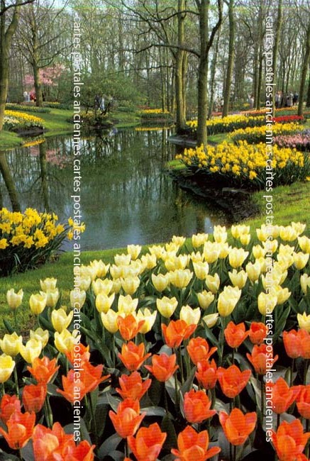 Cartes postales anciennes > CARTES POSTALES > carte postale ancienne > cartes-postales-ancienne.com Fleurs