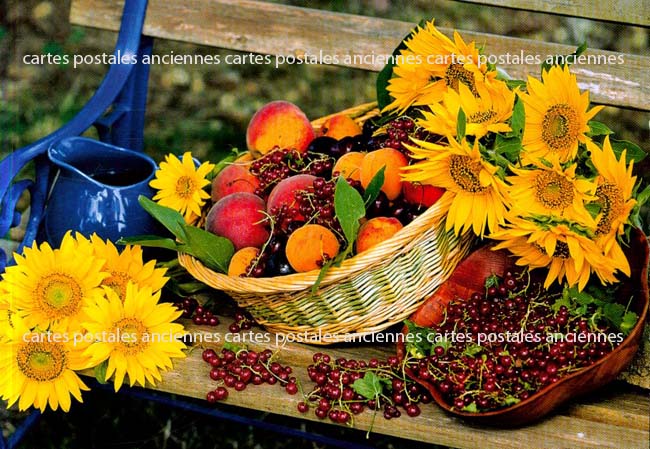 Cartes postales anciennes > CARTES POSTALES > carte postale ancienne > cartes-postales-ancienne.com Fleurs