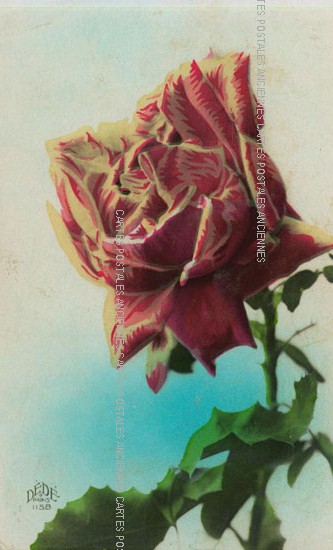 Cartes postales anciennes > CARTES POSTALES > carte postale ancienne > cartes-postales-ancienne.com Fleurs