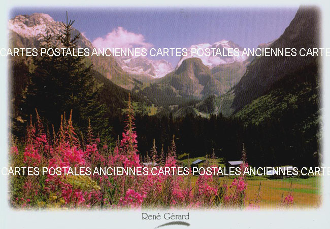 Cartes postales anciennes > CARTES POSTALES > carte postale ancienne > cartes-postales-ancienne.com Fleurs