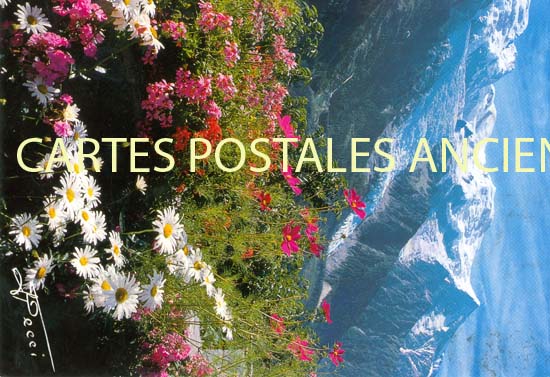 Cartes postales anciennes > CARTES POSTALES > carte postale ancienne > cartes-postales-ancienne.com Fleurs