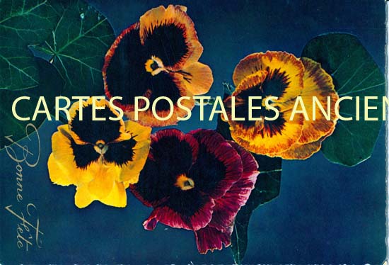 Cartes postales anciennes > CARTES POSTALES > carte postale ancienne > cartes-postales-ancienne.com Fleurs