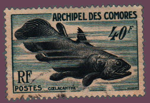 Cartes postales anciennes > CARTES POSTALES > carte postale ancienne > cartes-postales-ancienne.com France