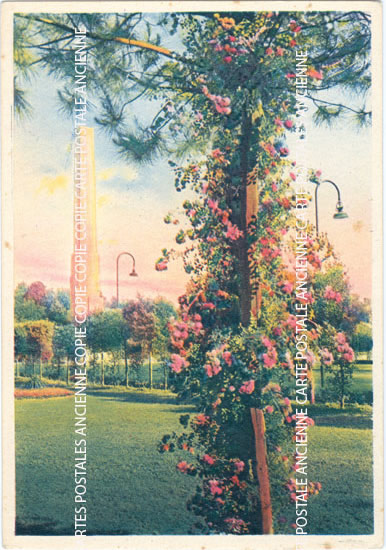 Cartes postales anciennes > CARTES POSTALES > carte postale ancienne > cartes-postales-ancienne.com Union europeenne