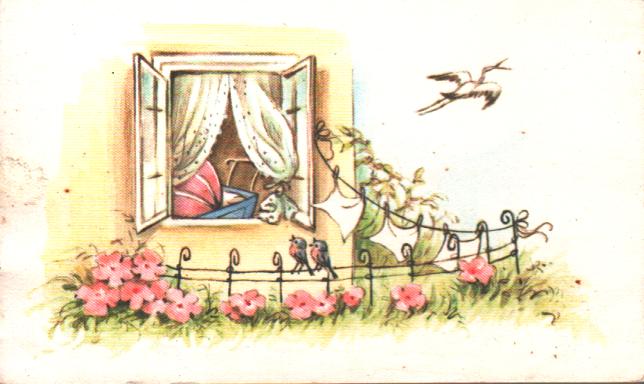 Birth announcement cards