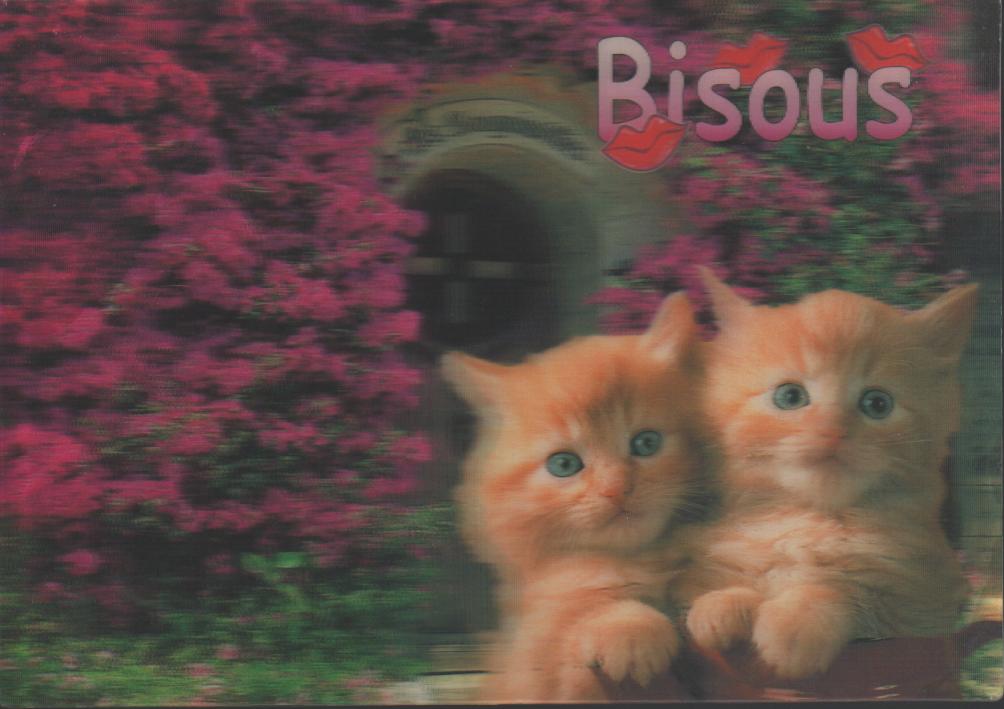 Cartes postales anciennes > CARTES POSTALES > carte postale ancienne > cartes-postales-ancienne.com Animaux Chats