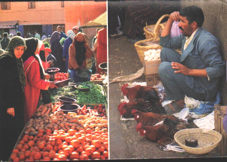 Cartes postales anciennes > CARTES POSTALES > carte postale ancienne > cartes-postales-ancienne.com Maroc