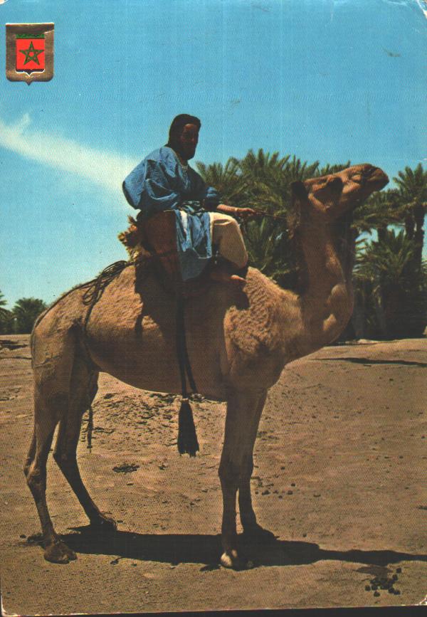 Cartes postales anciennes > CARTES POSTALES > carte postale ancienne > cartes-postales-ancienne.com Maroc