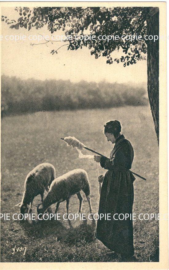 Profession