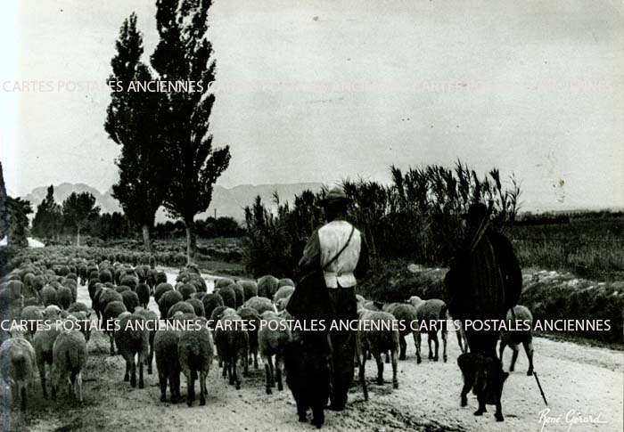 Cartes postales anciennes > CARTES POSTALES > carte postale ancienne > cartes-postales-ancienne.com Metiers