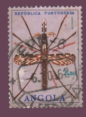 Cartes postales anciennes > CARTES POSTALES > carte postale ancienne > cartes-postales-ancienne.com Monde pays   Angola