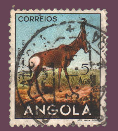 Cartes postales anciennes > CARTES POSTALES > carte postale ancienne > cartes-postales-ancienne.com Monde pays   Angola Vrac<br>